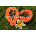 Extracto de Papaya de Salud Cardiovascular